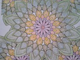 whatsapp image 2026-01-14 at 12.17.49